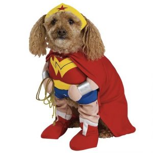 super-hero-dog_jpg_644x0_q100_crop-smart