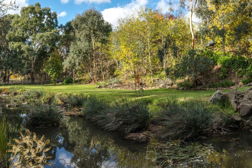 Hope Springs Eternal Dog Rescue, Rehoming & Retirement Inc. Hope