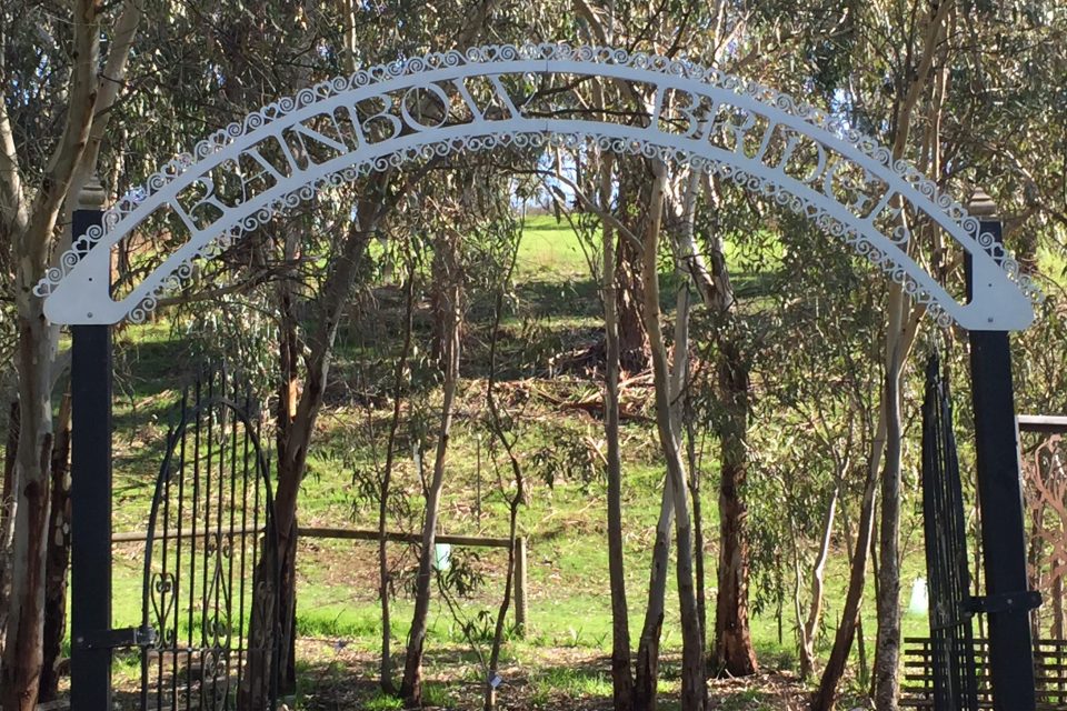 Hope Springs Eternal Dog Rescue, Rehoming & Retirement Inc. Hope