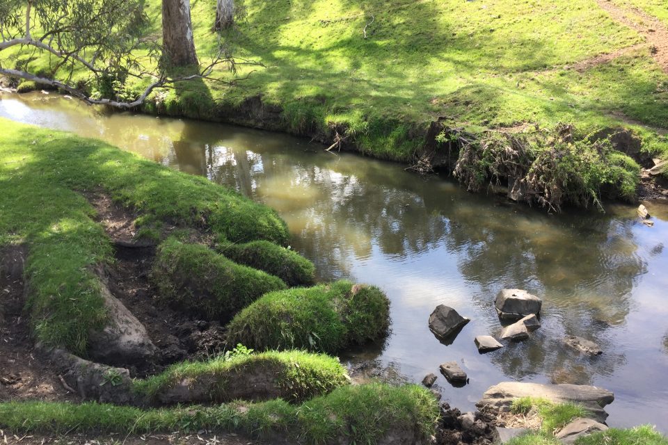 Hope Springs Eternal Dog Rescue, Rehoming & Retirement Inc. Hope