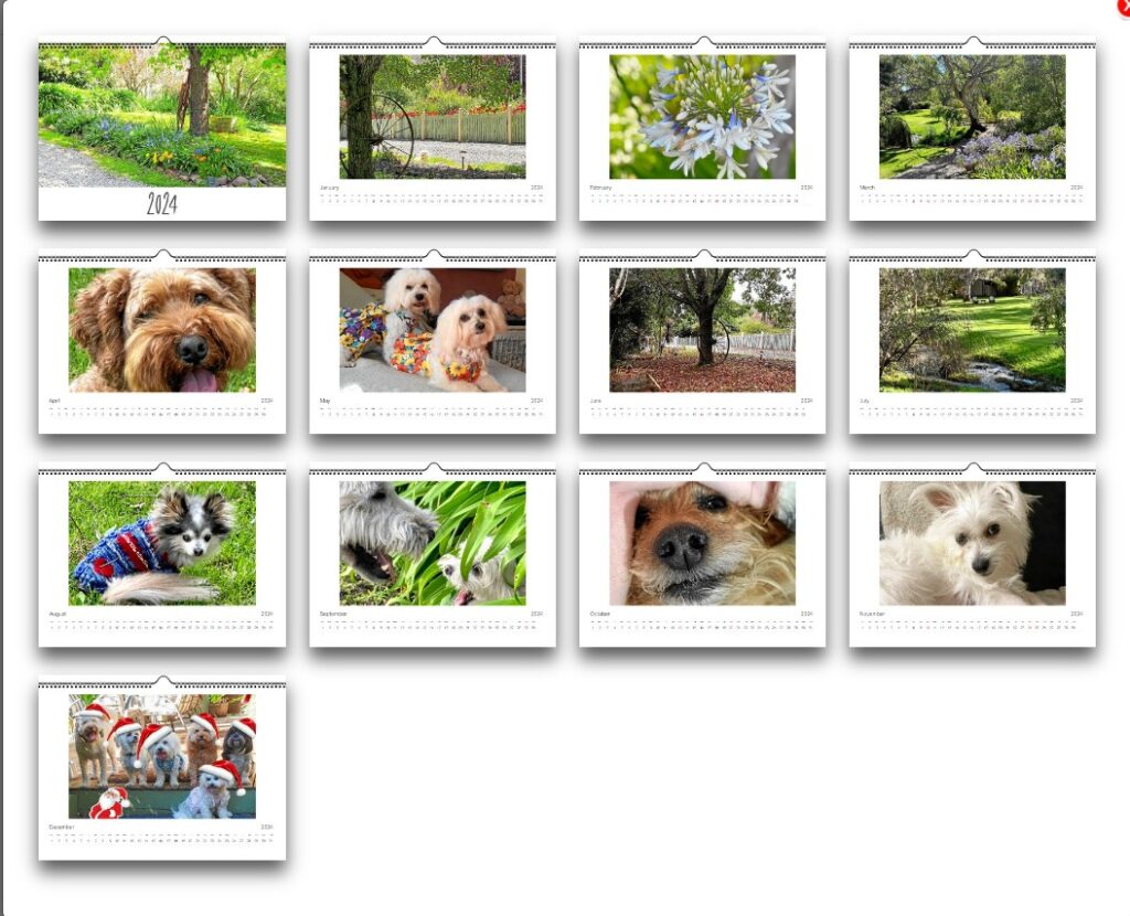 2024 Calendar Hope Springs Eternal Dog Rescue Rehoming Retirement Inc   Calendar 2 1024x830 